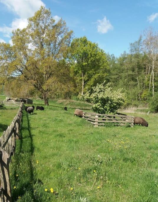 Exklusivewohnung Mitten In Der Natur - Ruth'S Nest Babelin Bagian luar foto