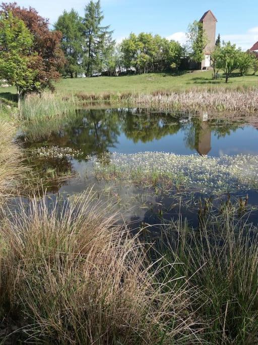Exklusivewohnung Mitten In Der Natur - Ruth'S Nest Babelin Bagian luar foto
